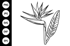 Outline Bird of Paradise Flower SVG Product Image 1