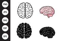 Human Brain SVG, Human Brain Clipart Product Image 1