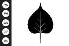 Birch Leaf SVG Product Image 1