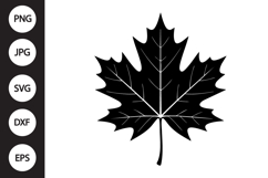 Maple Leaf SVG Product Image 1