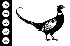 Pheasant SVG Product Image 1