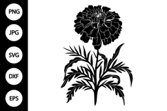 Silhouette Marigold SVG Product Image 1