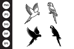 Parrot SVG, Parrot Clipart Product Image 1
