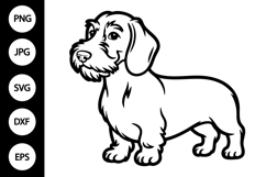 Wirehaired Dachshund Dog Outline SVG Product Image 1