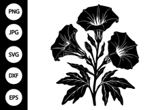Silhouette Morning Glory Flower SVG Product Image 1