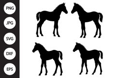 Baby Horse SVG, Baby Horse Clipart Product Image 1