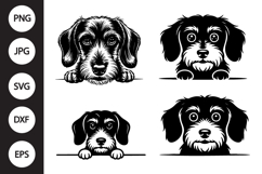 Peeking Wirehaired Dachshund Dog SVG Product Image 1