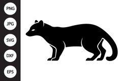African Palm Civet SVG Product Image 1