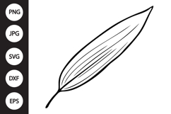 Bamboo Leaf SVG Product Image 1