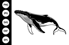 Whale SVG, Whale Silhouette SVG Product Image 1