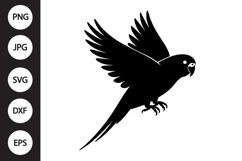 Budgie Bird SVG Product Image 1