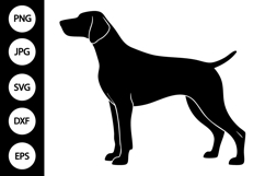 German Shorthair Pointer Dog SVG Product Image 1