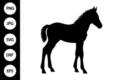 Baby Horse Silhouette SVG Product Image 1