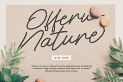 Tungle Rastu Raw Signature Script Font Product Image 2