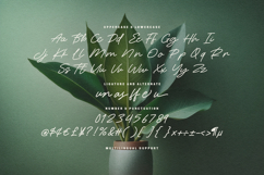 Tungle Rastu Raw Signature Script Font Product Image 6