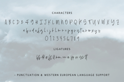 Turbulent Script Product Image 10