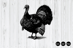 Turkey SVG, Wild Turkey SVG, Farm Animal SVG Product Image 1