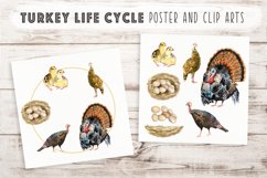 Big Life Cycle Bundle Product Image 14