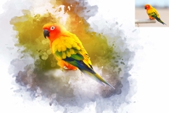 Turn Photo To Watercolor Painting Product Image 2