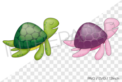 Cute sea turtle PNG SVG clipart marine life cartoon illust Product Image 1