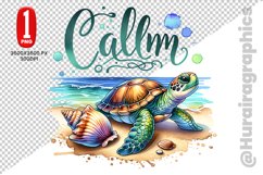 Cute Turtle Clipart - PNG File Product Image 1