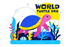 10 World Turtle Day Illustration Product Image 4