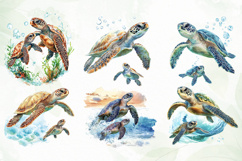 Turtle Mother’s Day Sublimation Clipart Product Image 4