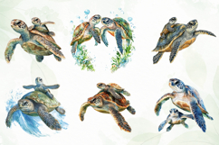 Turtle Mother’s Day Sublimation Clipart Product Image 2