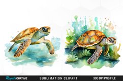 Turtle Clipart,Turtles Clipart,Watercolor Turtles,Sea Animals,Nautical Clipart,Ocean Clipart,Ocean Animals,Sea Clipart,Watercolor Ocean,Watercolor Turtle,Turtle Png,Cute Turtles,Sea Turtles,