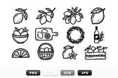 Hand Drawn Lemon Fruit Clipart Bundle for Summer Crafts Product Image 1