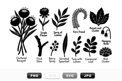 Black Botanical Leaves And Flowers Clipart Bundle Product Image 1