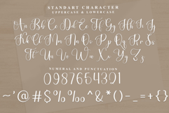 TwentyStar Product Image 2