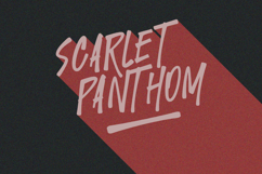 Twicked Panther Dynamic Handpainted Brush Font Product Image 4