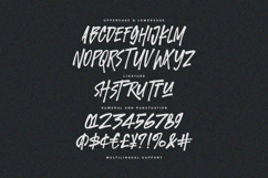 Twicked Panther Dynamic Handpainted Brush Font Product Image 6