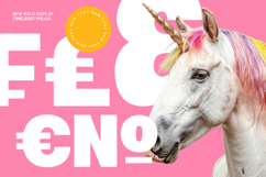 Twilight Blash - New Bold Display Font Product Image 11