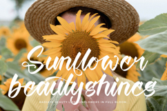 Twilight Lantern - Modern Handwritten Font Product Image 10