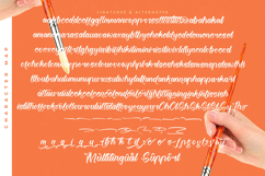 Twilight Lantern - Modern Handwritten Font Product Image 19