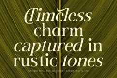 Twilight Vintage - New Modern Serif Font Product Image 8