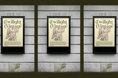 Twilight Vintage - New Modern Serif Font Product Image 15