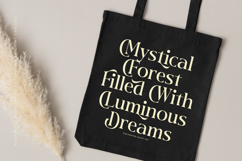 Twilight Vintage - New Modern Serif Font Product Image 16