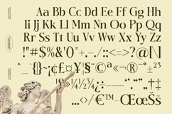 Twilight Vintage - New Modern Serif Font Product Image 17