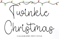 Twinkle Christmas Product Image 1