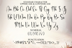 Twinkle Sweet Product Image 7