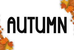 Twinkle Product Image 2