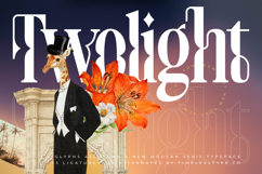 Twolight - New Modern Serif Typeface Product Image 1