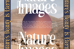 Twolight - New Modern Serif Typeface Product Image 4