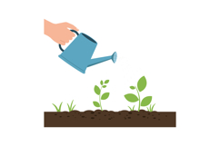 Hand holding a blue watering can over young green plants in Product Image 1