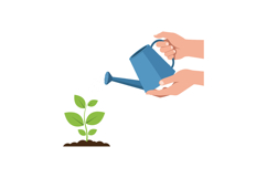 Hands pouring water from a blue watering can onto a small gr Product Image 1