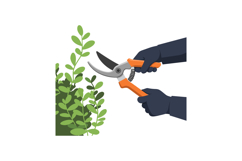 Hands using pruning shears to trim green plants in a flat ve Product Image 1