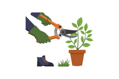 Hands holding pruning shears clipping green plant branches i Product Image 1